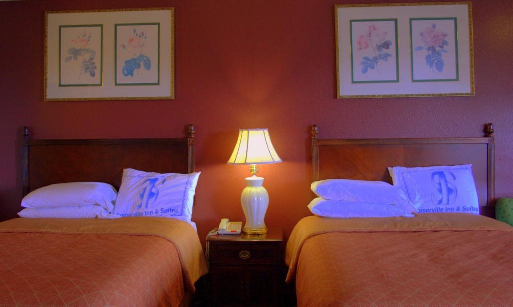 Somerville Inn And Suites Bilik gambar